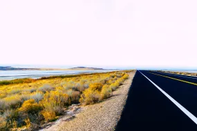 Along the Salt Flats
