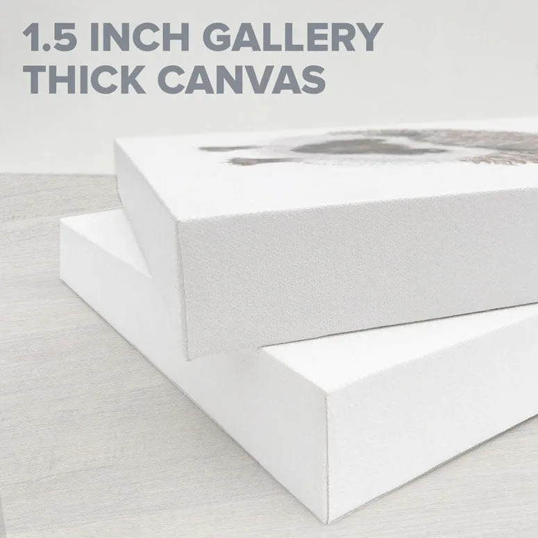 Alpaca And Pals Canvas Wall Art