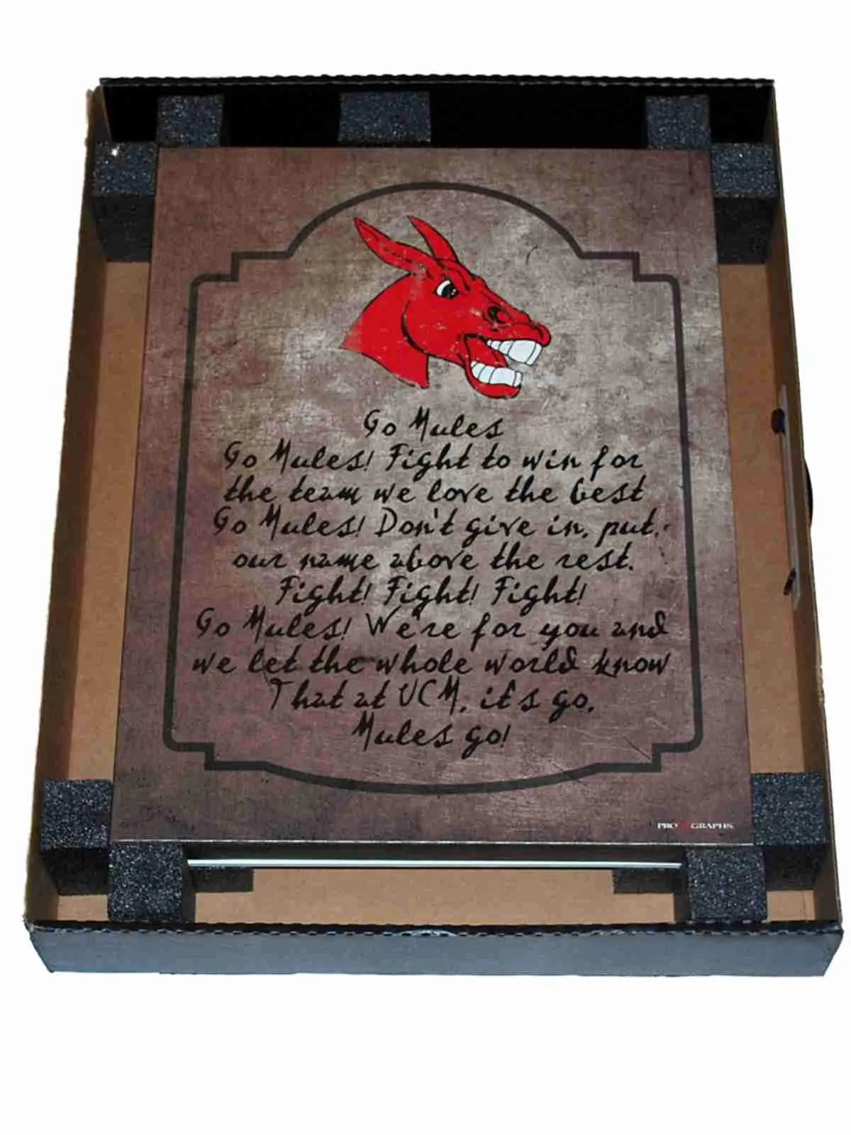 Central Missouri Mules Pro Graphs "UCM Fight Song" Tan 18" X 24" Canvas